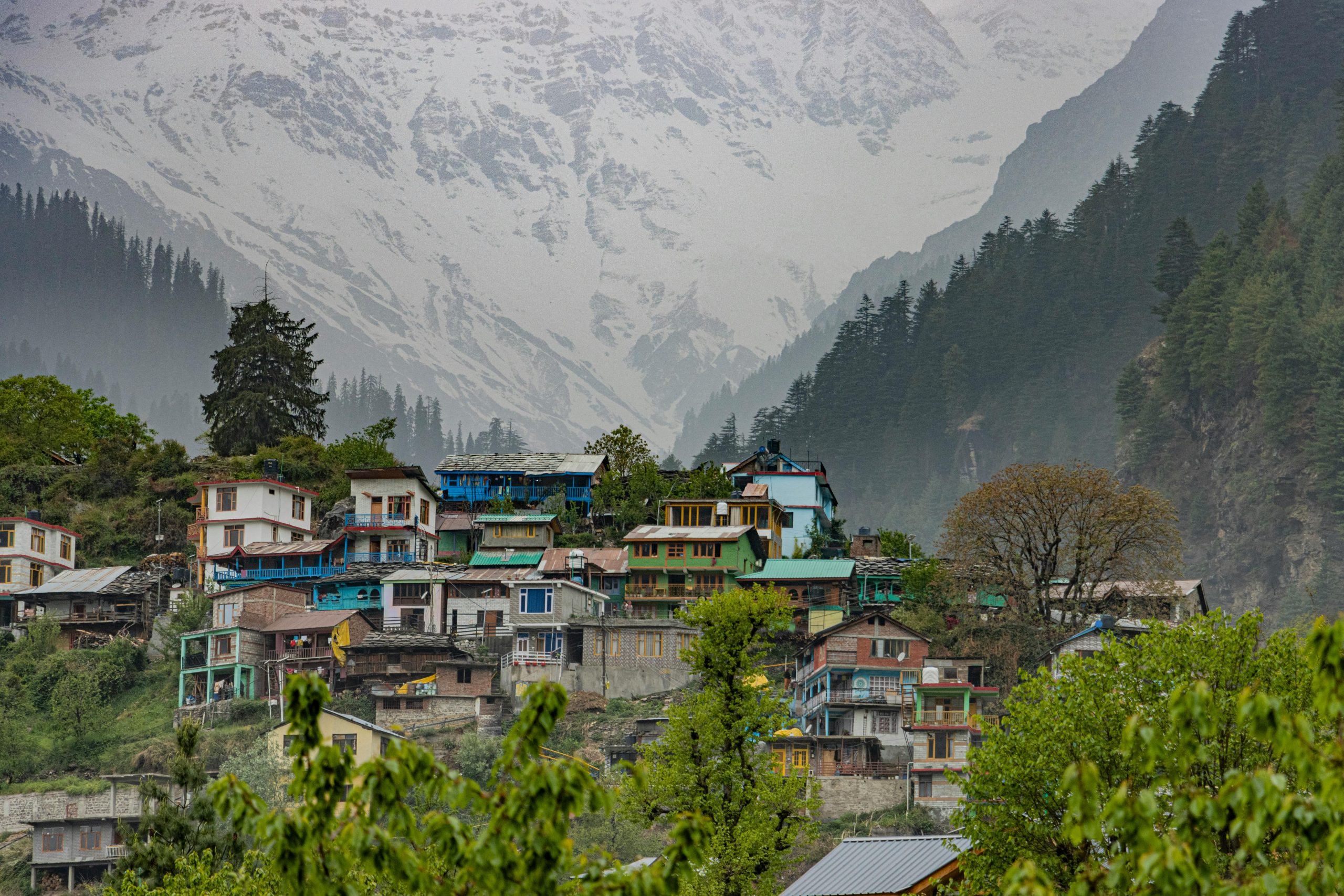 Scenic view of a colorful village in Manali with the snowy Himalayas in the background.